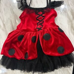 Ladybug Red and Black Kids Costume
